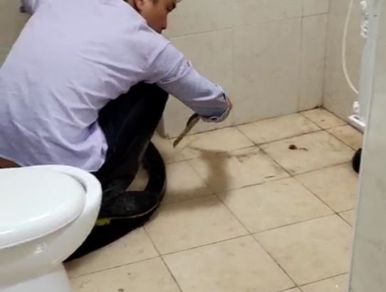 衛生間納米防水案例